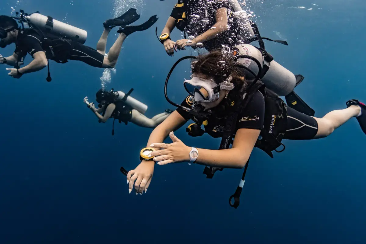 Onyx Divers - המועדון הישראלי המוביל לצלילות מודרכות בקו טאו - תמונה 3