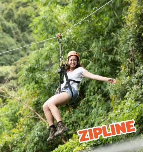 חבילת אקסטרים Skyline Adventure – אומגות, קארטינג וסווינג - תמונה 3