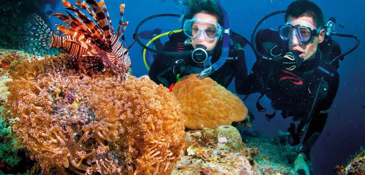 צלילה בנה טראנג – Nha Trang Fun Divers - תמונה 3