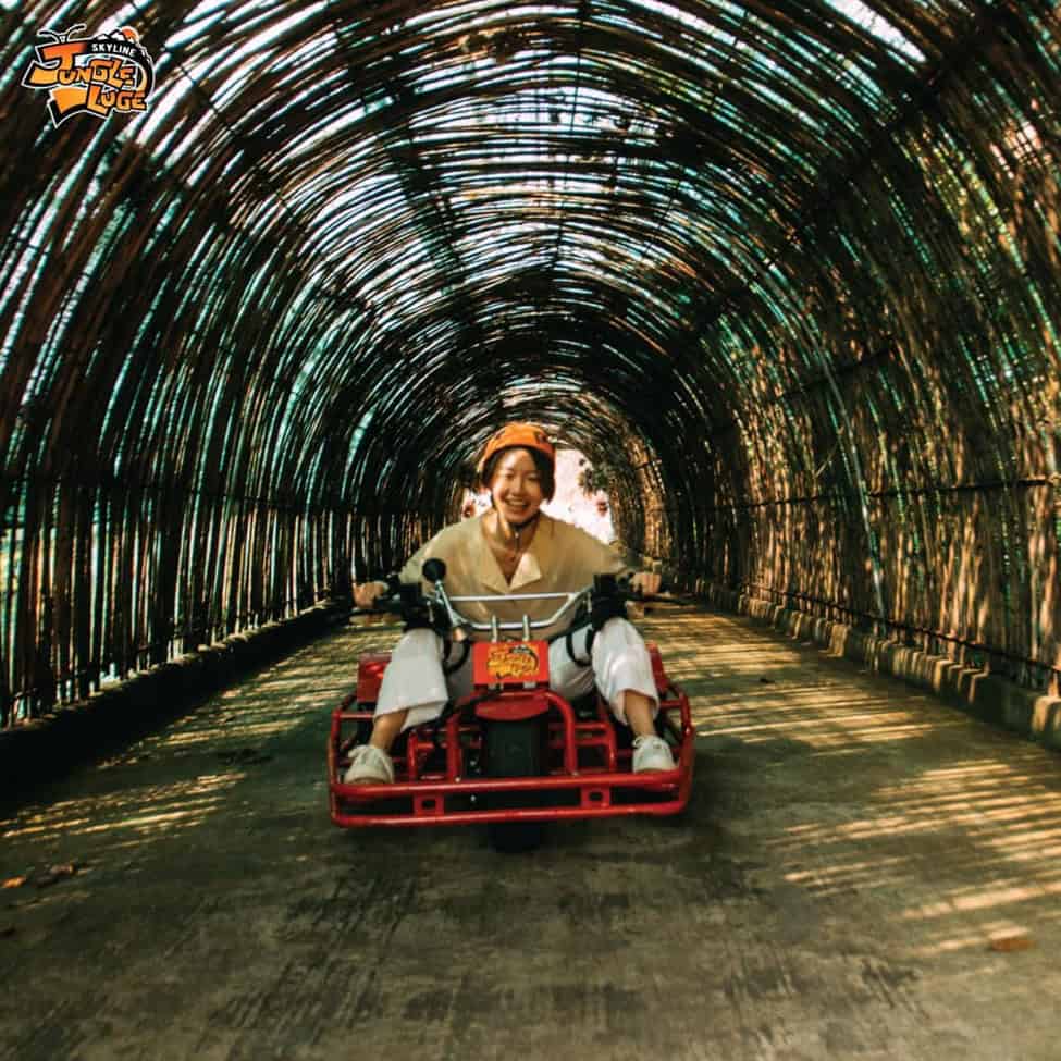 חבילת אקסטרים Skyline Adventure – אומגות, קארטינג וסווינג