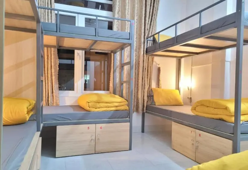 tiny tigers hostel - תמונה 3
