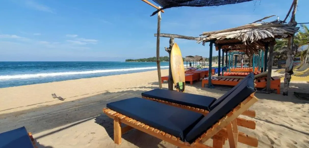 surf stay