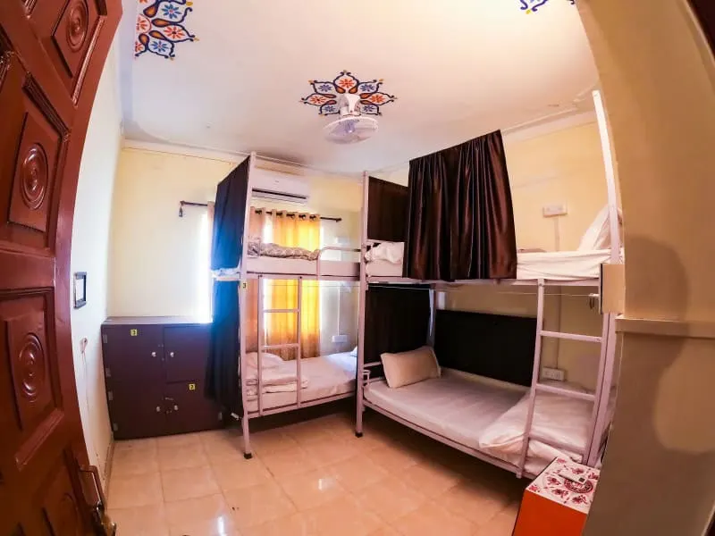 jungle hostel udaipur - תמונה 2