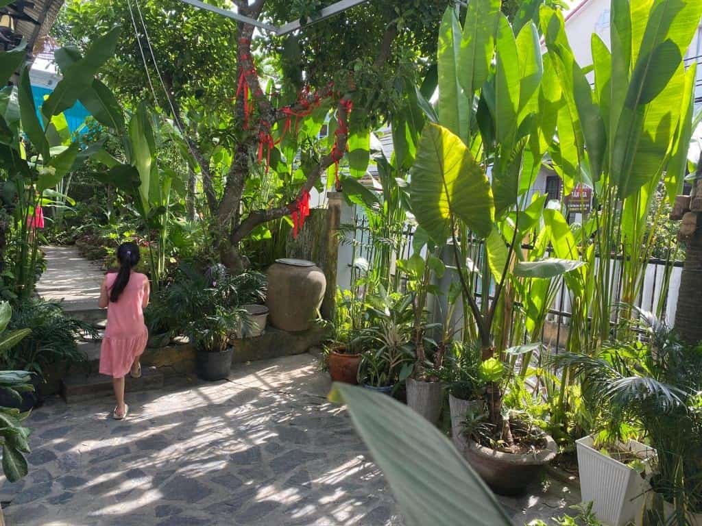 Sunny Garden Homestay - תמונה 4