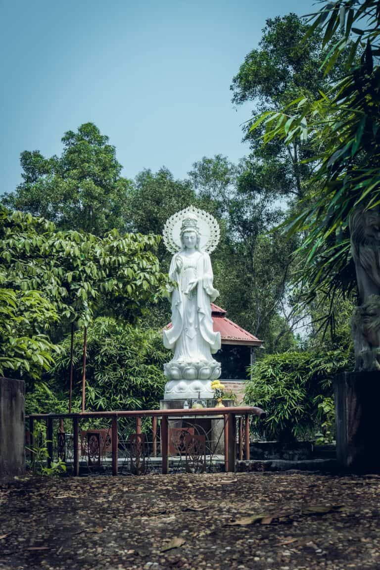 pexels-thanh-van-dinh-712218856-31705671