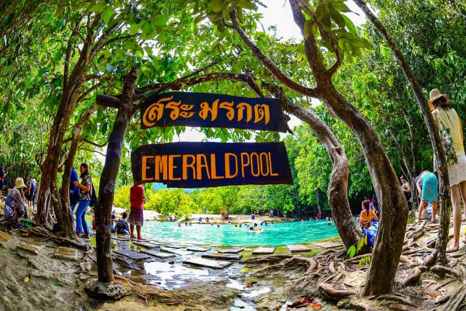 בריכת האמרלד ומעיינות חמים בקראבי (Emerald Pool & Hot Springs) - תמונה 2