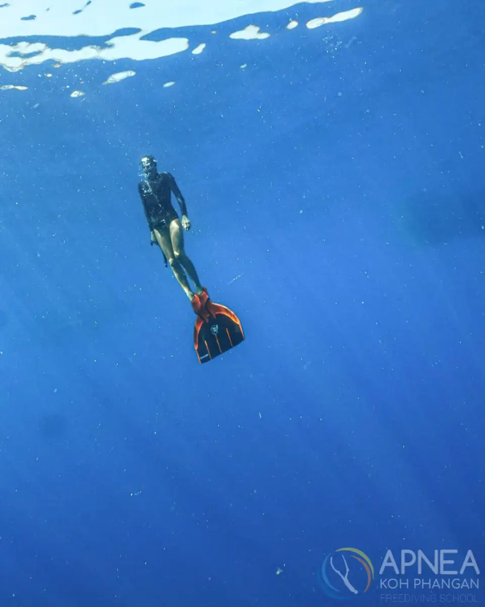 Apnea KP – סשן אימון צלילה חופשית - תמונה 1