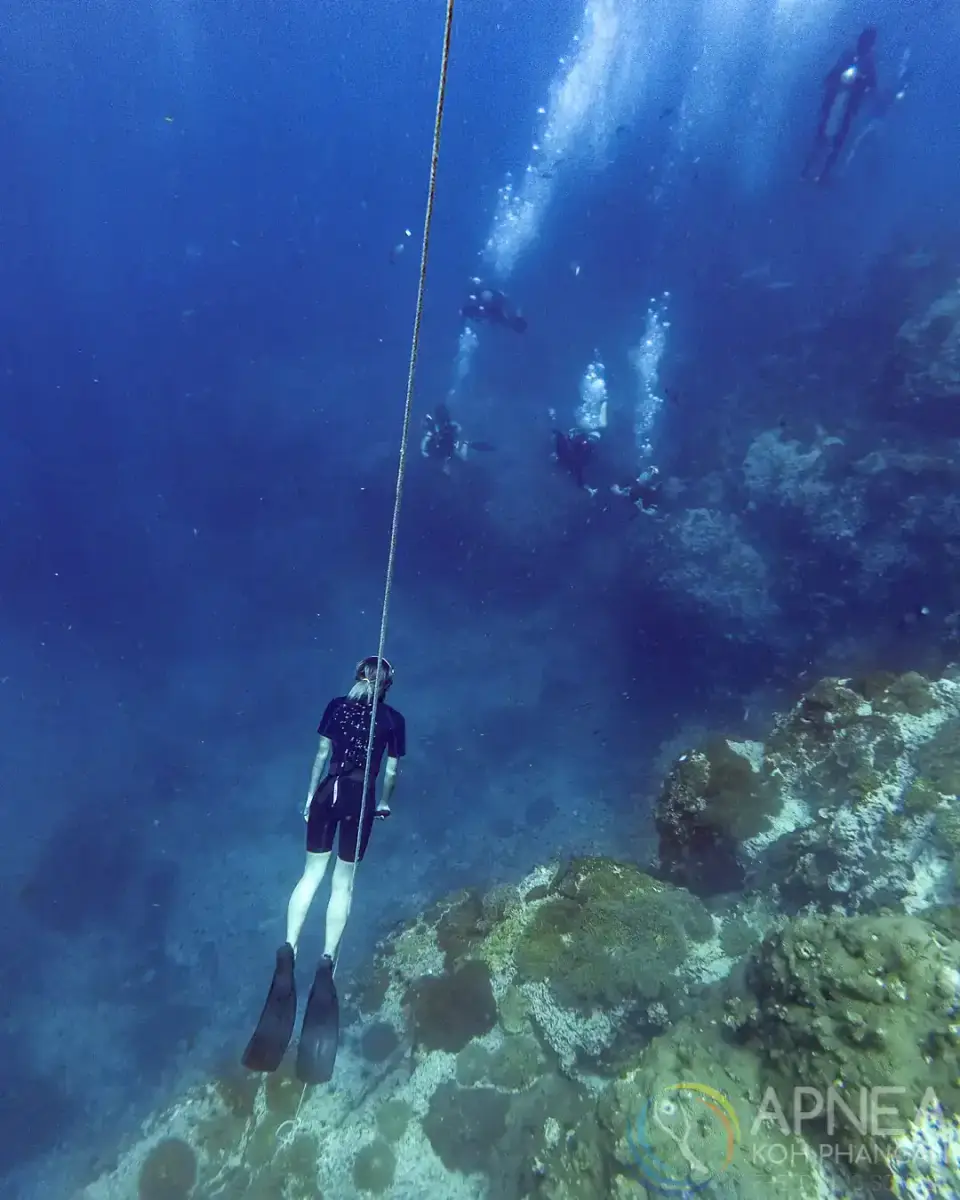 Apnea KP Freediving School - תמונה 3