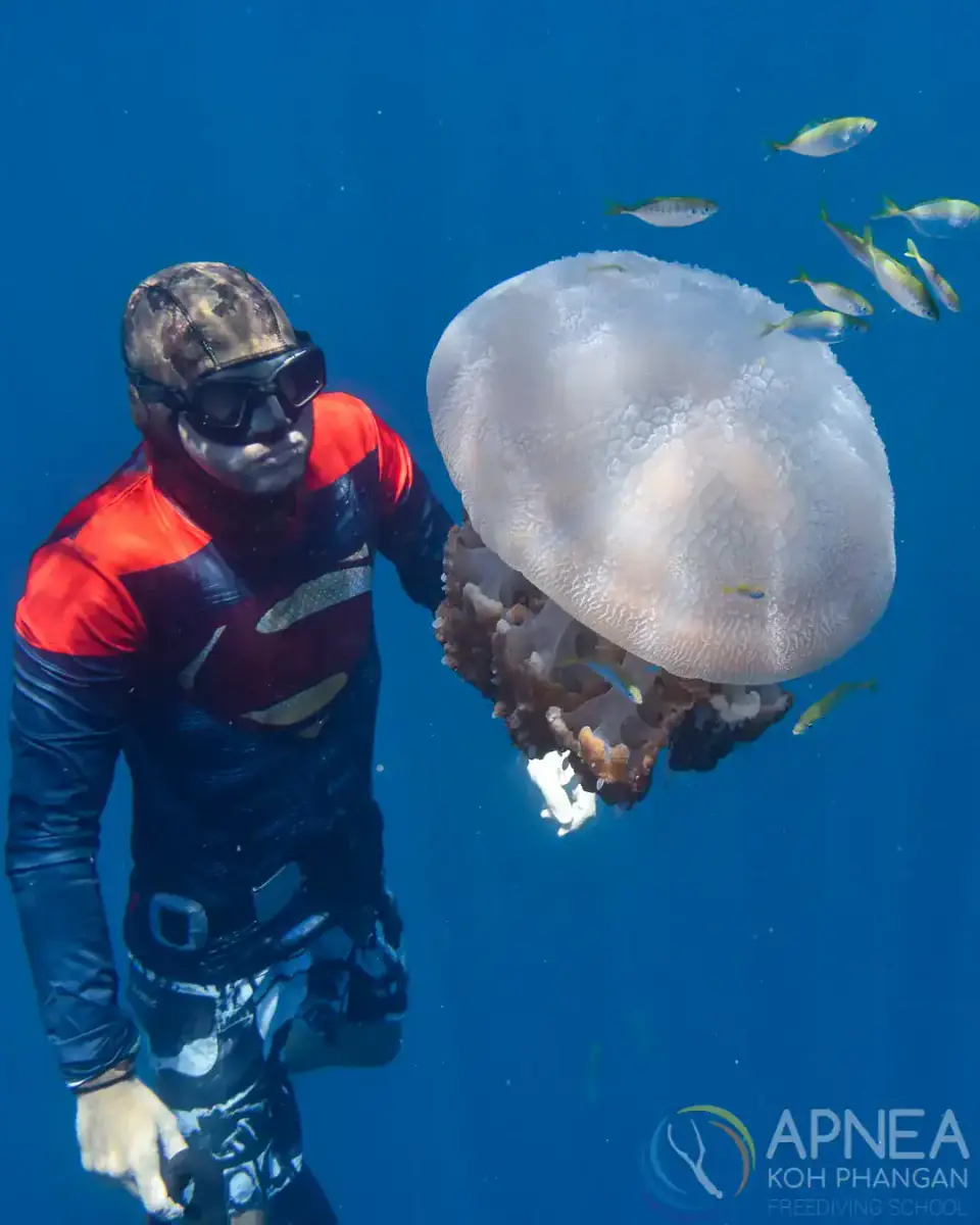 Apnea KP Freediving School - תמונה 2
