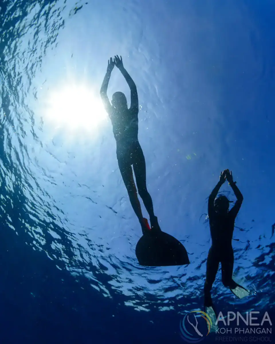 Apnea KP Freediving School - תמונה 5