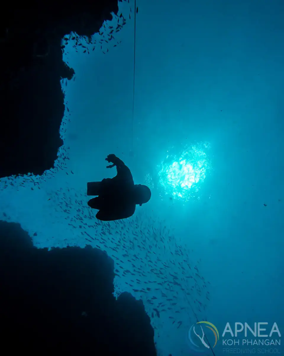 Apnea KP Freediving School - תמונה 4