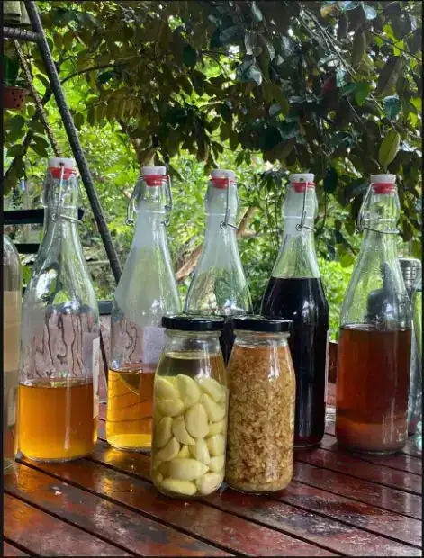 1. כותרת סדנת הכנת יין אורז מסורתי בהוי אן – Traditional Rice Wine Making