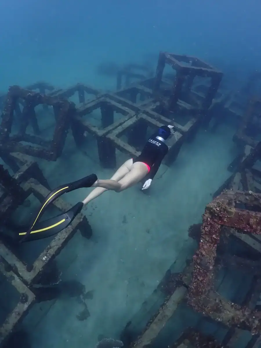 צלילת היכרות בקו טאו – Kaizen Freediving - תמונה 4