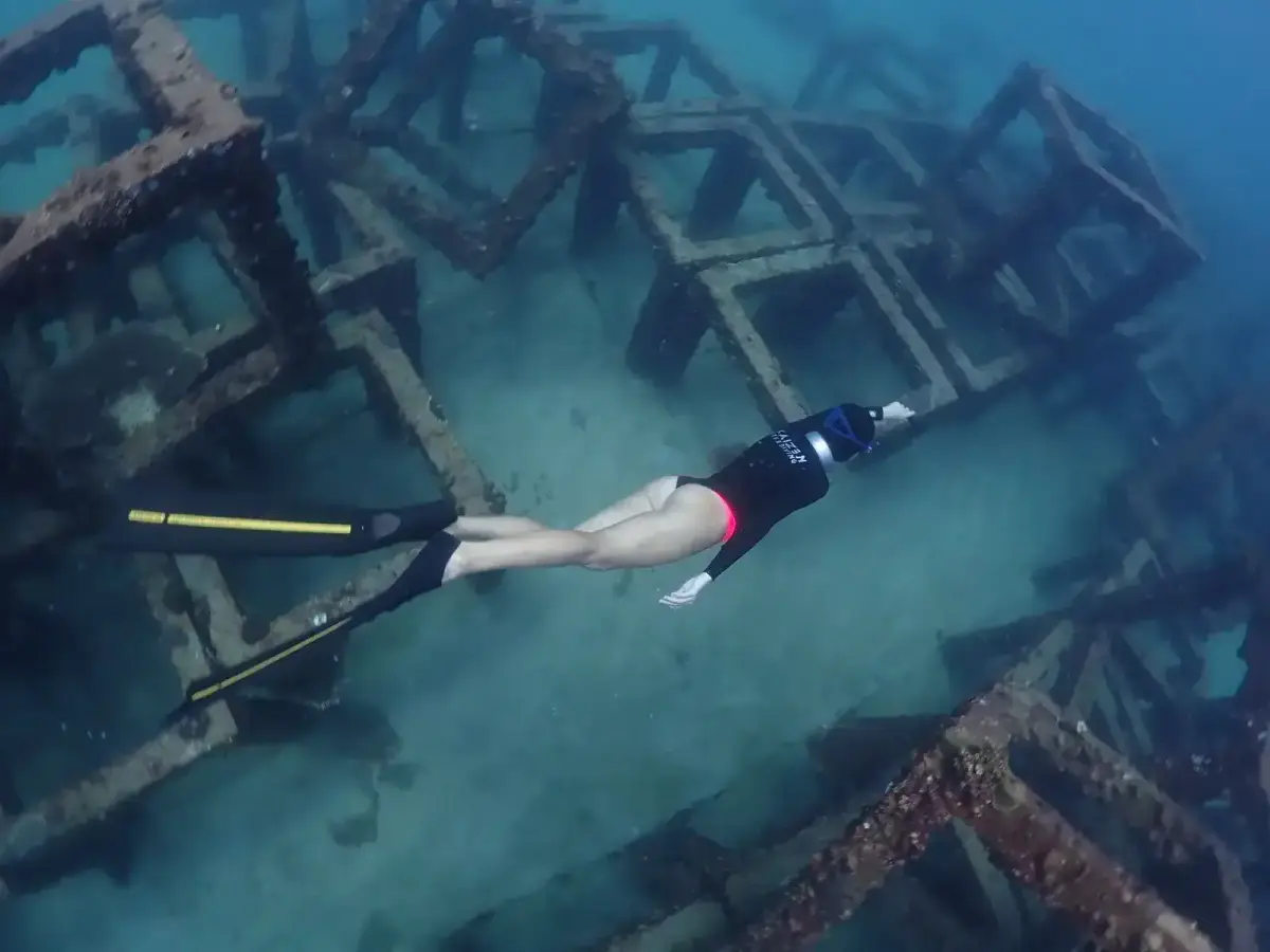 צלילת היכרות בקו טאו – Kaizen Freediving - תמונה 5