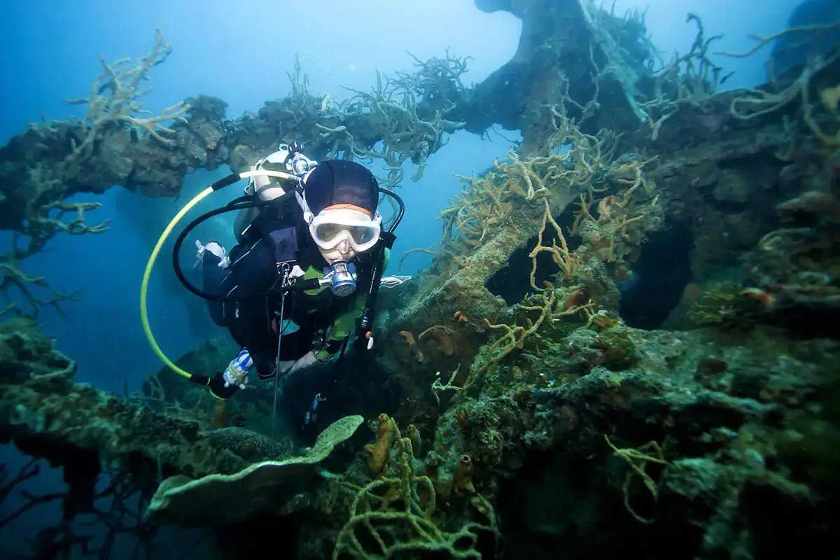 Maco Coron Diving Center