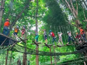 אומגות בג'ונגל בקראבי (Zipline Adventure) - תמונה 3