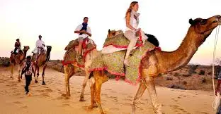 ספארי גמלים ג'איסלמר - תמונה 3