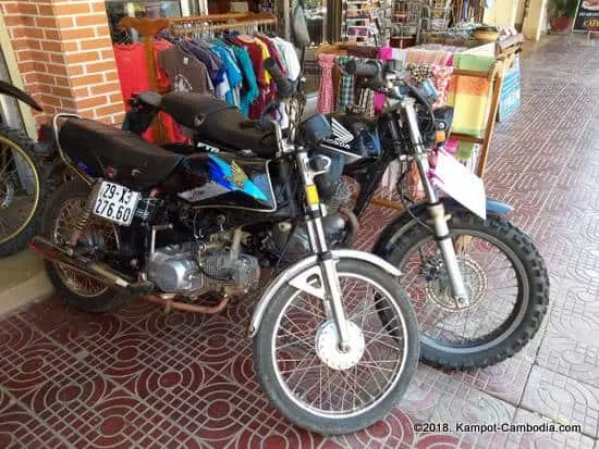 השכרת אופנועים- קמפוט - תמונה 3