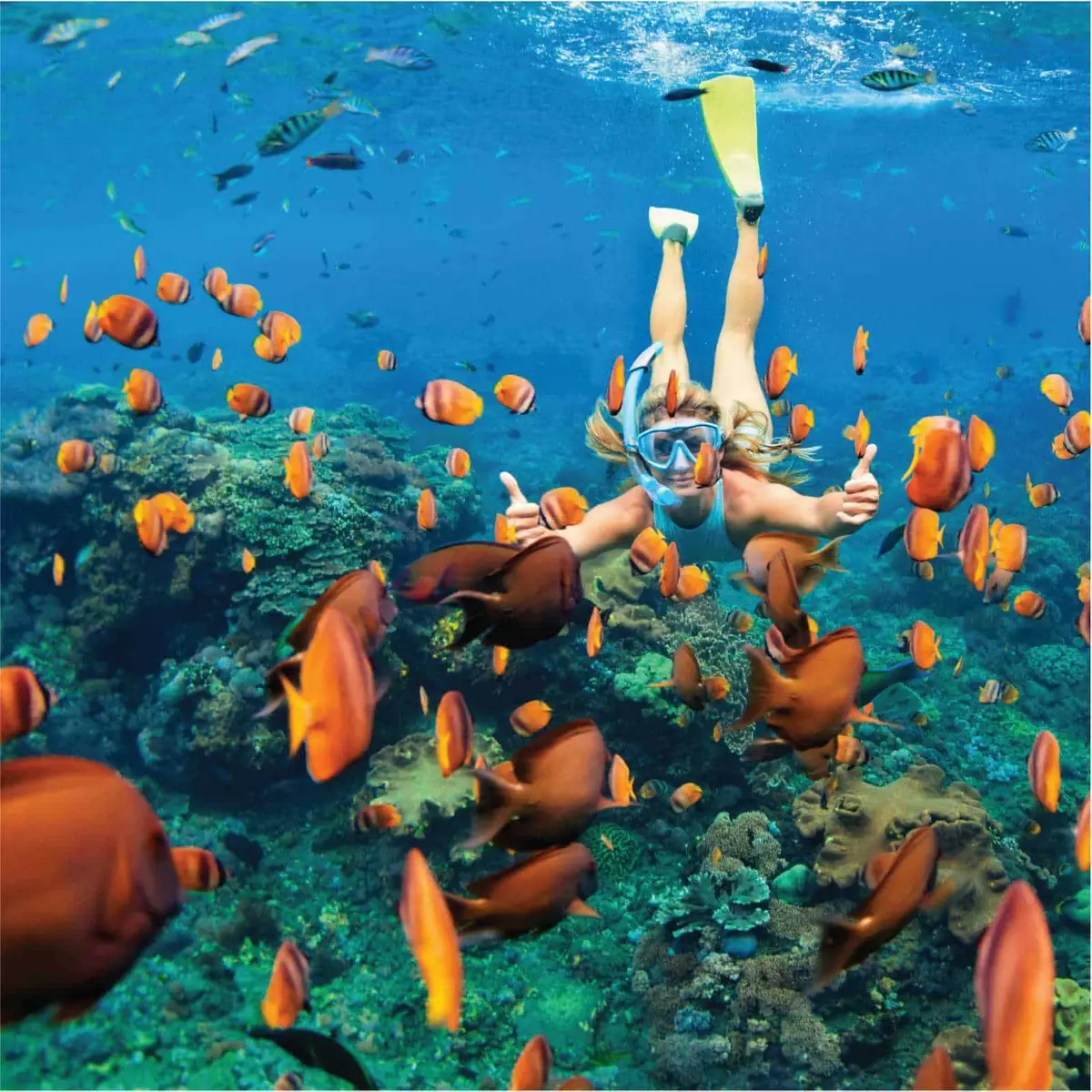 צלילה בנה טראנג – Nha Trang Fun Divers - תמונה 4