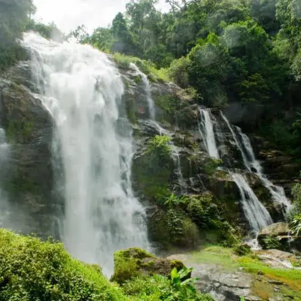 סיור יום לדוי אינתנון וטרק פה דוק סיו - Doi Inthanon & Trekking - תמונה 2