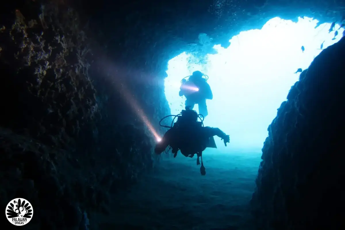 Palawan Divers – מועדון הצלילה המוביל בפלאוואן