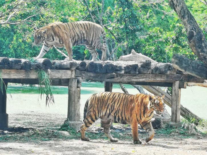 Safari World