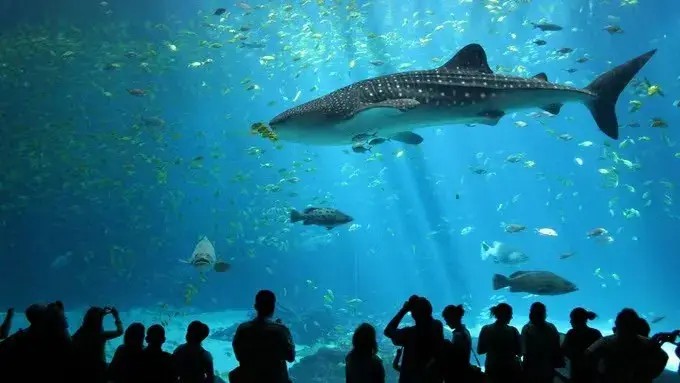 Ocean World