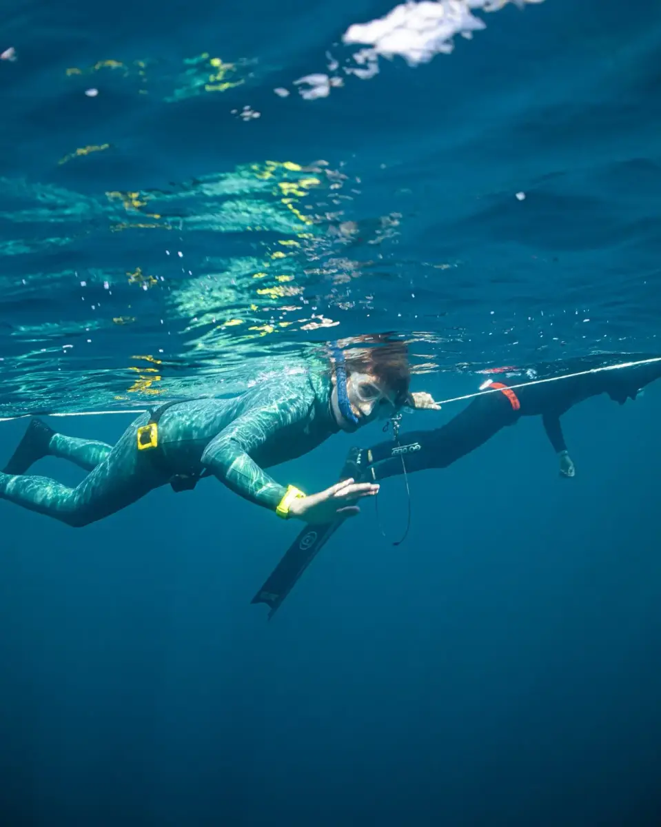 קורס צלילה חופשית בפנגלאו - Freedive Academy Panglao