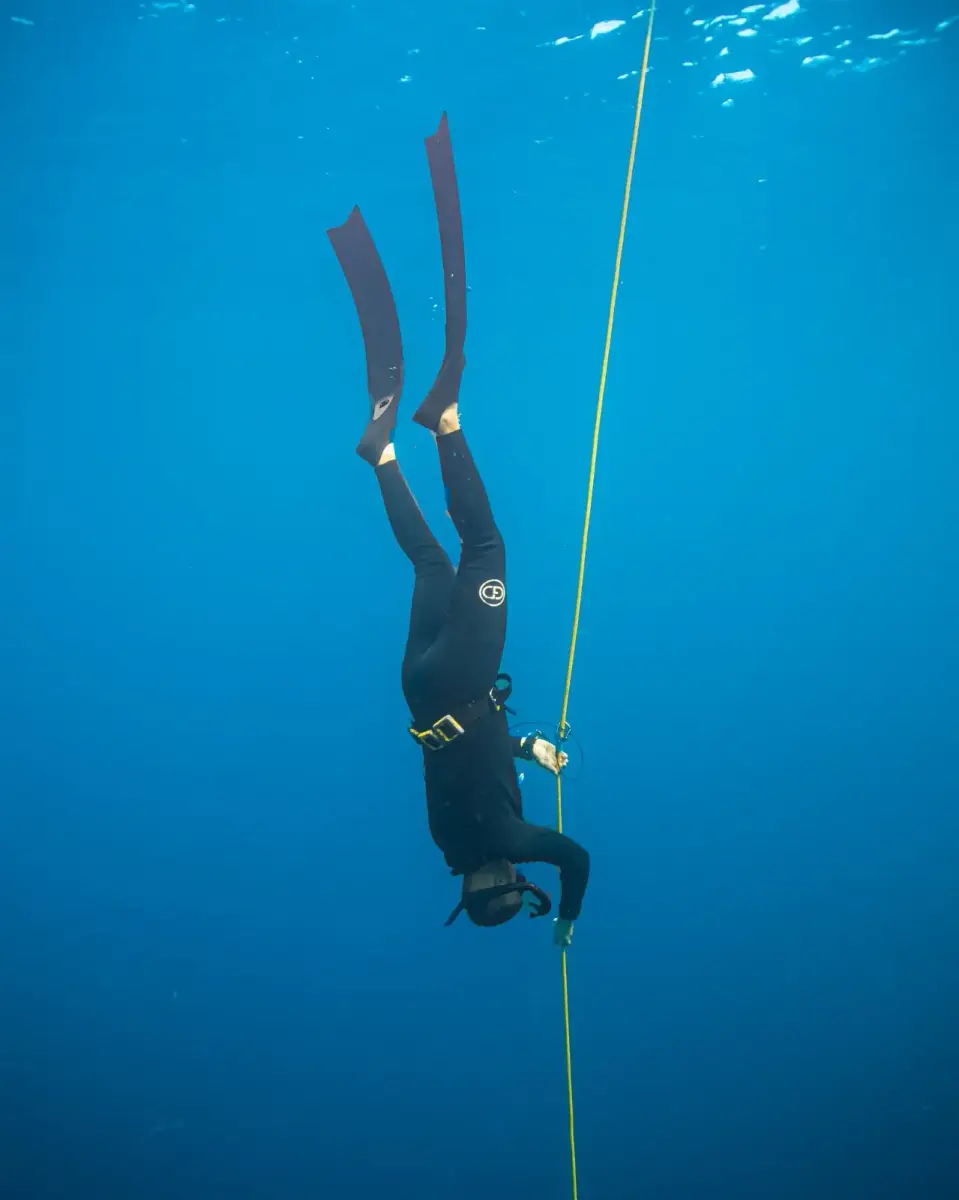 קורס צלילה חופשית בפנגלאו - Freedive Academy Panglao - תמונה 4