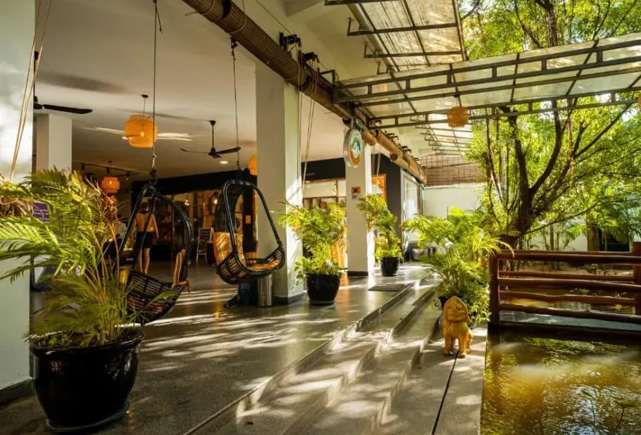 mad monkey hostel - תמונה 2