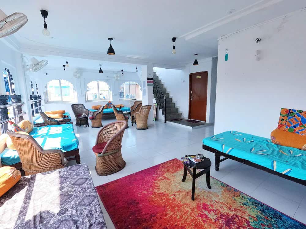 jungle hostel udaipur
