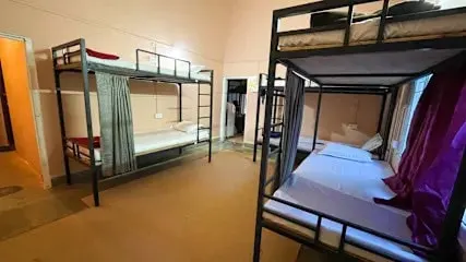 jungle hostel gokarana - תמונה 2