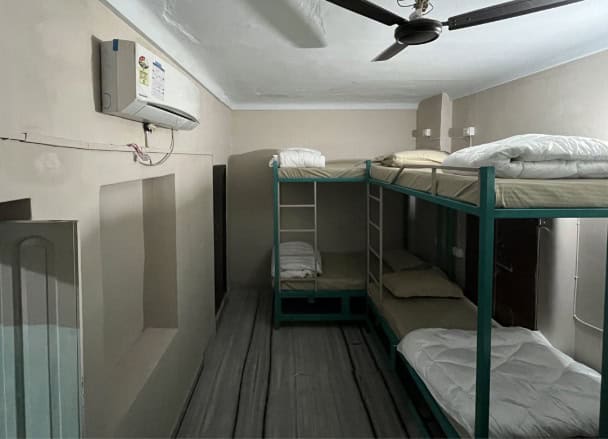 Jungle hostel jaipur ההוסטל הכי מגניב ג'איפור איסטקארד