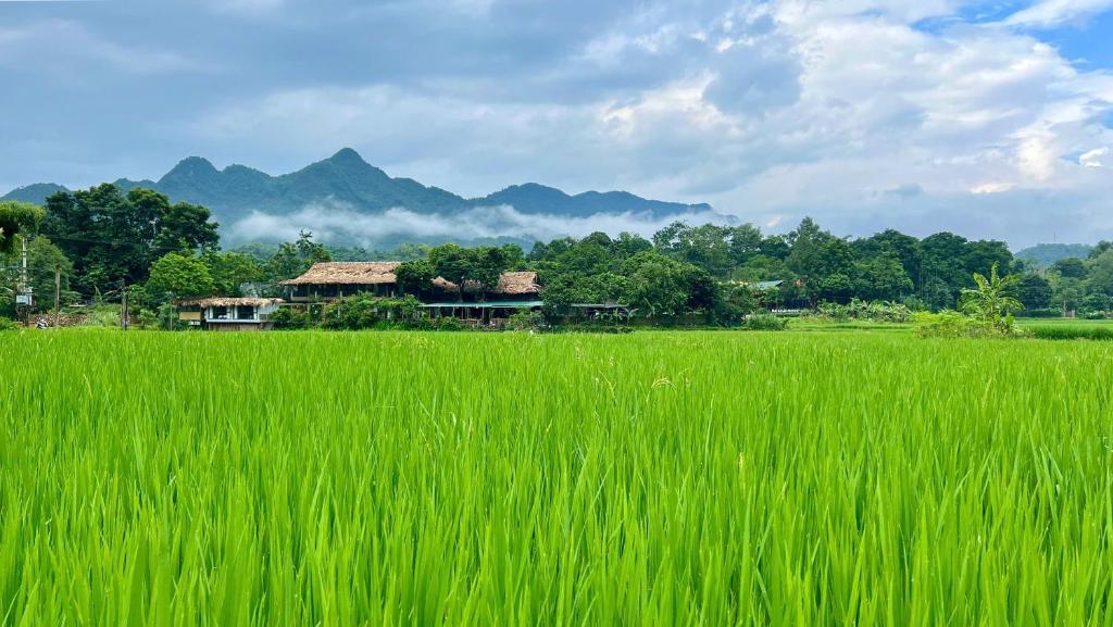 Mai Chau Sky Resort מקומות שווים במאי צ'או איסטקארד