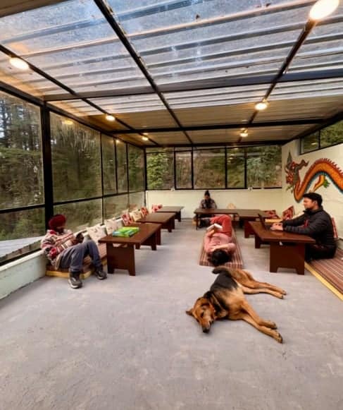 Hostel Evolve הוסטלים בהודו איסטקארד