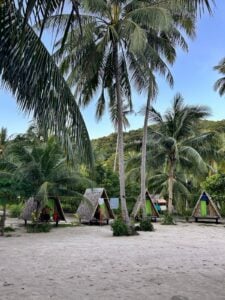 אקספדישין אל נידו איסטקארד