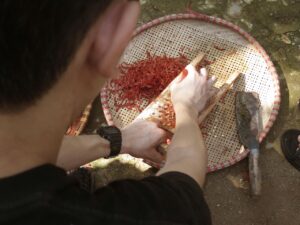 סדנת טאי-דאי טבעית ויצירתית אטרקציות מאי צ'או איסטקארד