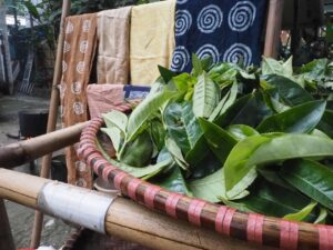 סדנת טאי-דאי טבעית ויצירתית אטרקציות מאי צ'או איסטקארד