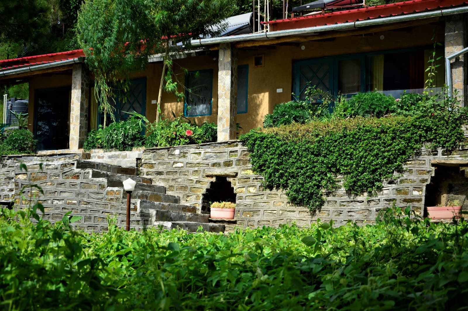 Mohan's Mud Houses הוסטלים שווים בהודו איסטקארד