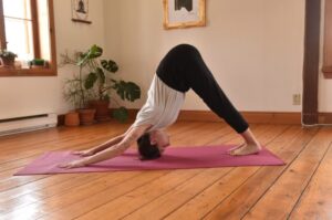 japam yoga שיעורי יוגה ברישיקש איסטקארד