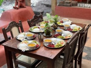 ריטריט יוגה וטרקים בג'ונגלים של גואה איסטקארד