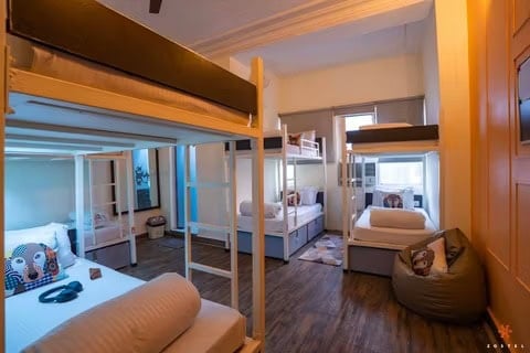 Zostel Delhi הוסטלים בדהלי, הודו איסטקארד.